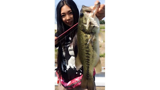 第8回目生放送終了☆