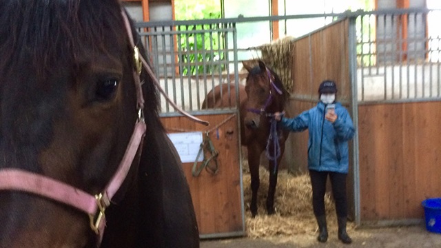 【今日のシュシュ】6月8日