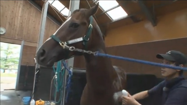 【今日のオリミツキネン15】6月9日