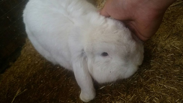 【番外編】今日の泰司