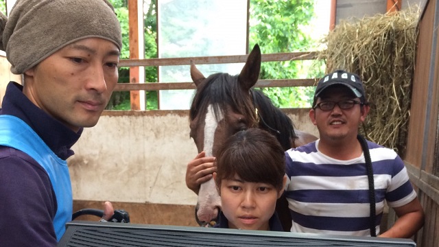 【番外編】今日の藤沢牧場