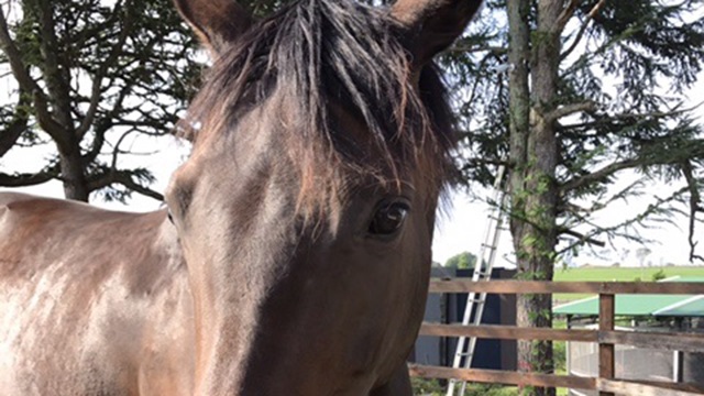 【今日のシュシュブリーズ】8月25日