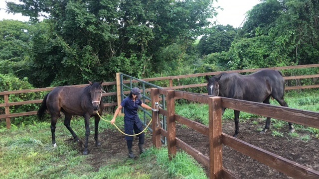 【今日のシュシュブリーズ】8月28日