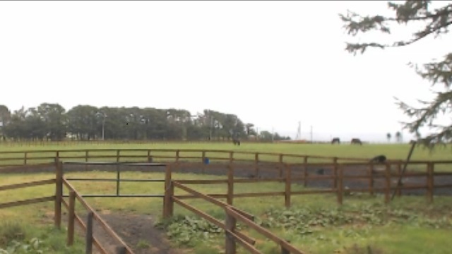 【今日のシュシュブリーズ】8月29日