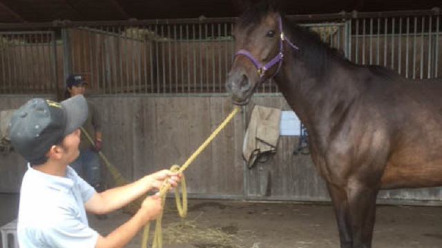 【今日のシュシュブリーズ】8月30日