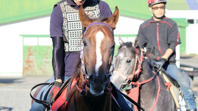 【今日のオーバーザリミッツ】9月15日