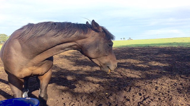 【今日のシュシュブリーズ】9月20日