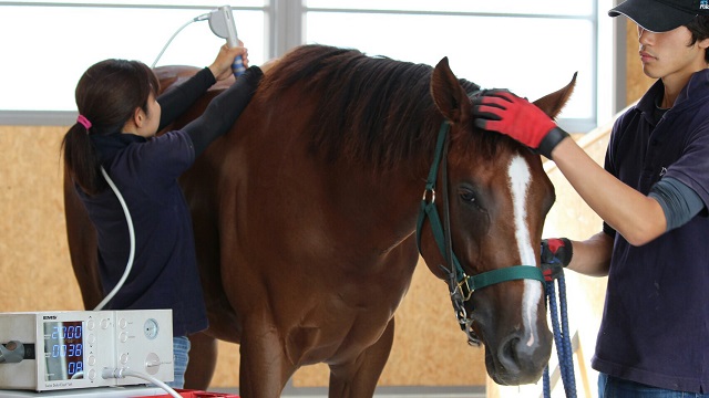 オーバーザリミッツ預託厩舎発表！