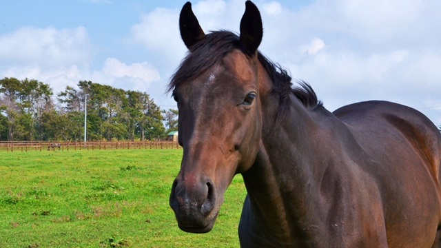【今日のシュシュブリーズ】9月21日