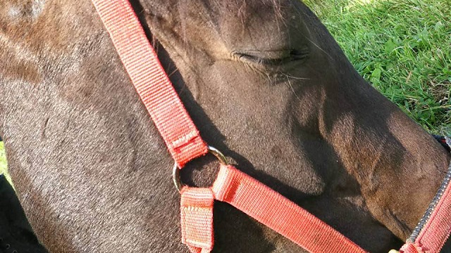 【今日のシュシュブリーズ】9月25日