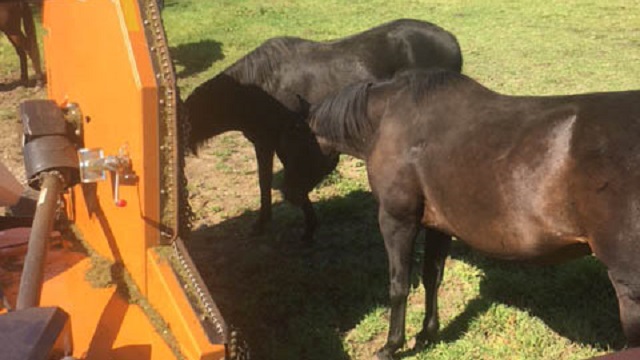 【今日のシュシュブリーズ】9月26日