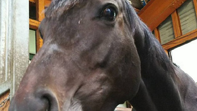 【今日のシュシュブリーズ】9月28日