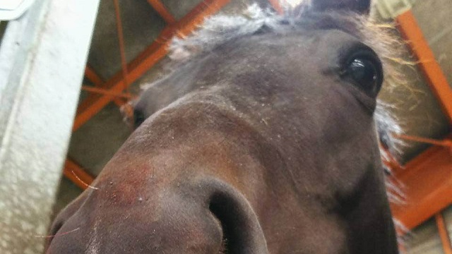 【今日のシュシュブリーズ】9月29日