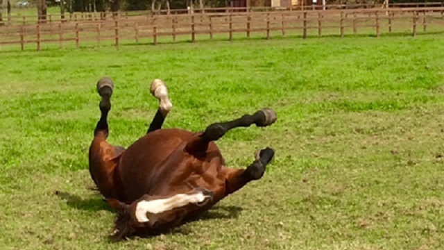 【今日のシュシュブリーズ】10月6日