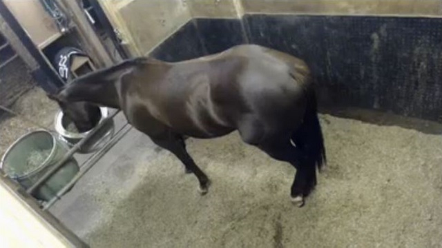 オーバーザリミッツの能力試験を見に行こう！