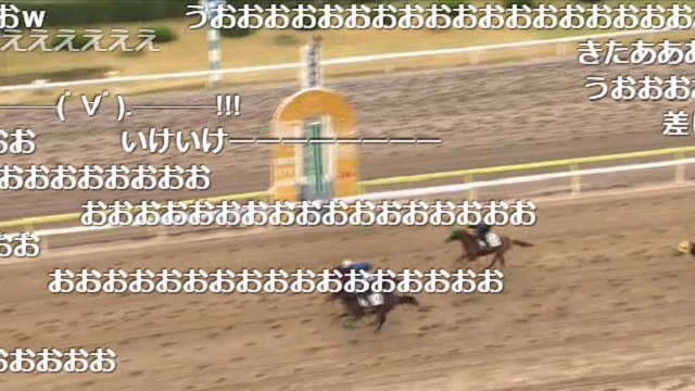 オーバーザリミッツ レースデビュー決定！