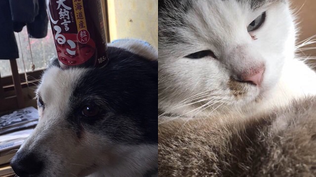 【番外編】今日のもちこさん&さえこさん