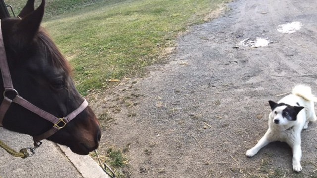 【今日のシュシュブリーズ】12月4日