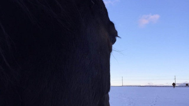 【今日のシュシュブリーズ】12月5日