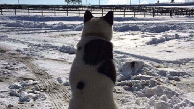 【今日のシュシュブリーズ】12月6日