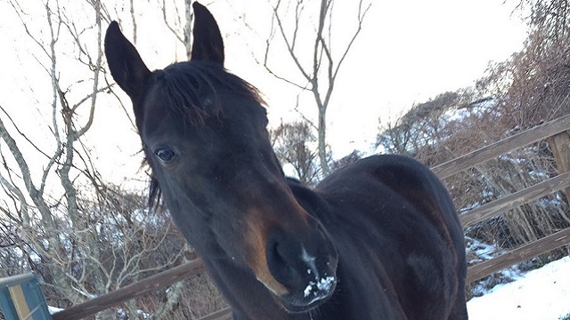 【今日のシュシュブリーズ】12月7日