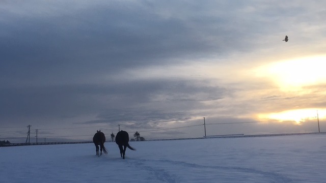 【今日のシュシュブリーズ】12月8日