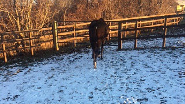 【今日のシュシュブリーズ】12月14日