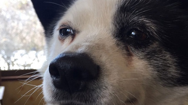 【今日のシュシュブリーズ】12月27日