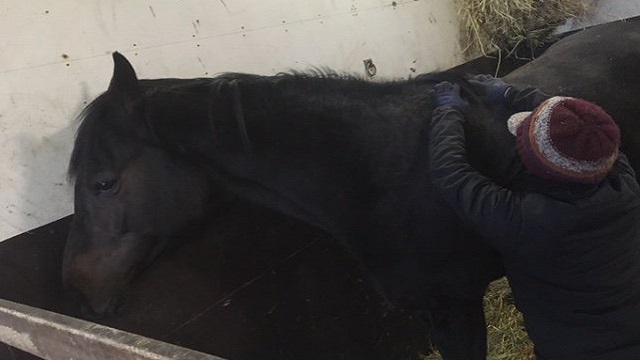 【今日のシュシュブリーズ】1月23日