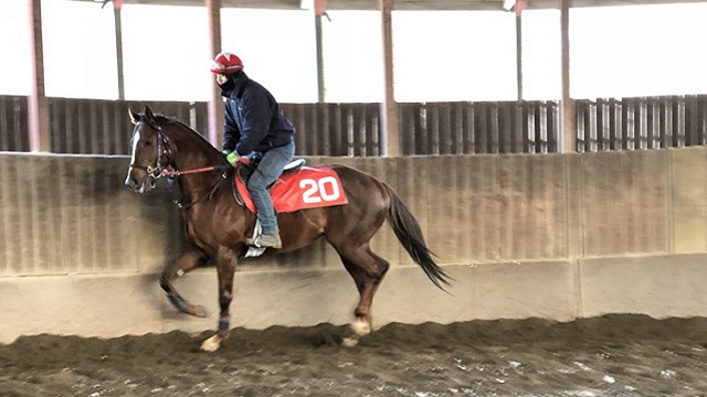 【今日のオーバーザリミッツ】1月30日