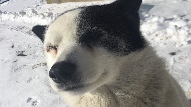 【今日のシュシュブリーズ】1月31日