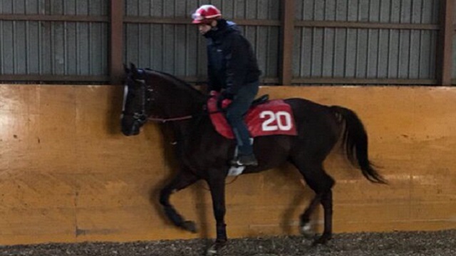 【今日のオーバーザリミッツ】2月2日