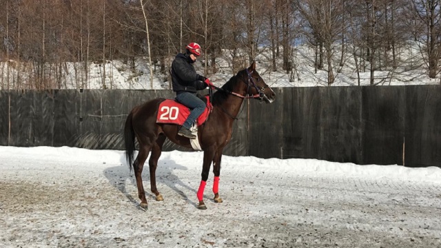 【今日のオーバーザリミッツ】2月13日