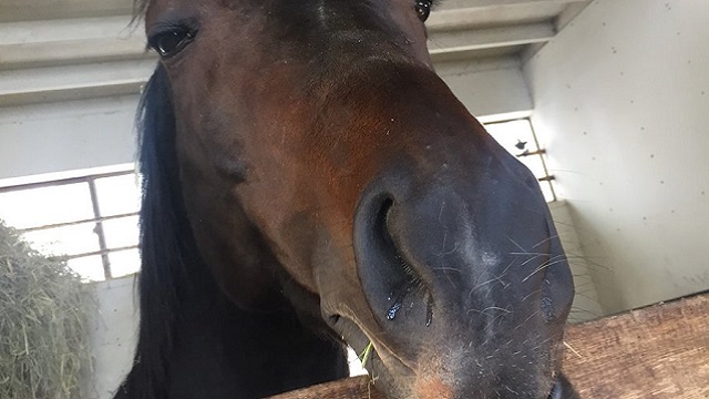 【今日のシュシュブリーズ】2月14日