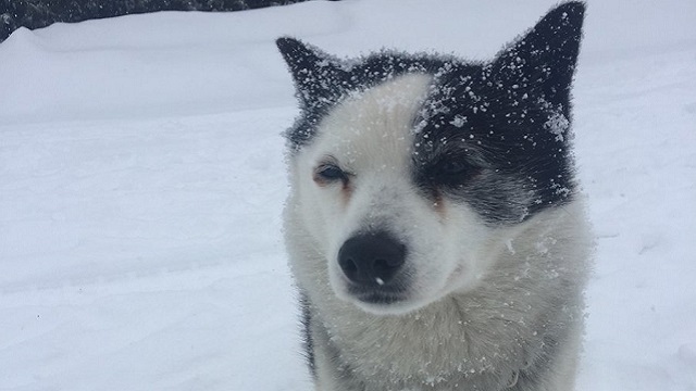 【今日のシュシュブリーズ】2月15日