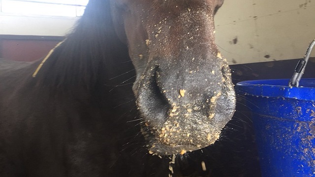 【今日のシュシュブリーズ】2月16日