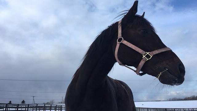 【今日のシュシュブリーズ】2月19日