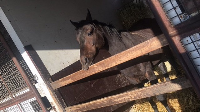 【今日のシュシュブリーズ】2月20日