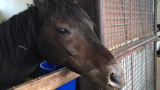 【今日のシュシュブリーズ】2月21日