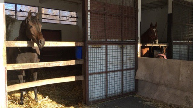 【今日のシュシュブリーズ】2月23日