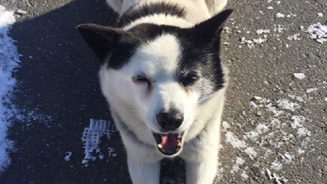 【今日のシュシュブリーズ】2月27日