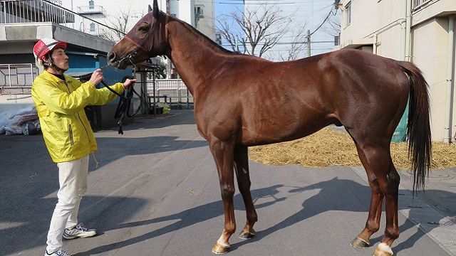 【今日のオーバーザリミッツ】3月2日