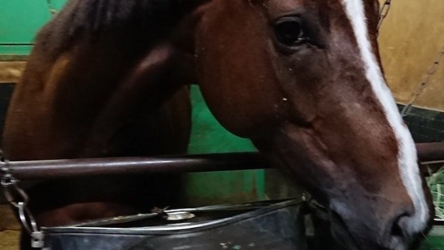 【今日のオーバーザリミッツ】3月16日