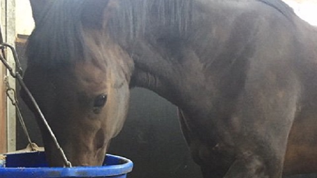 【今日のシュシュブリーズ】3月30日