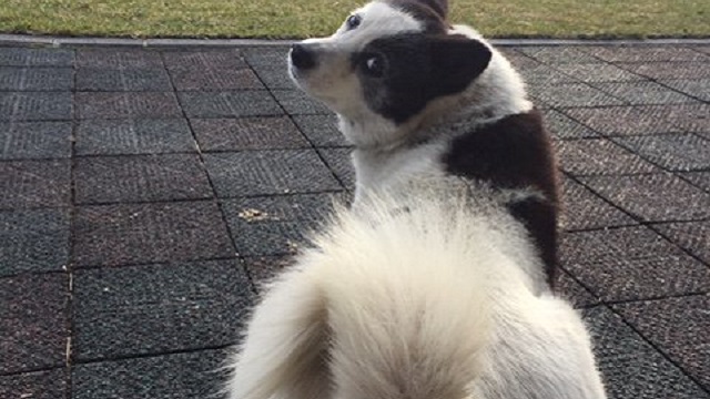 【今日のシュシュブリーズ】4月6日