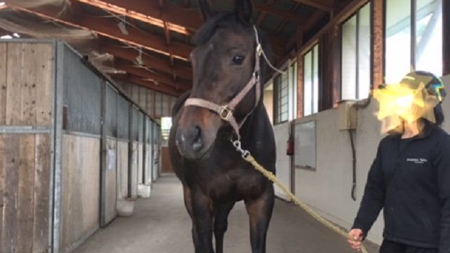 【今日のシュシュブリーズ】6月11日