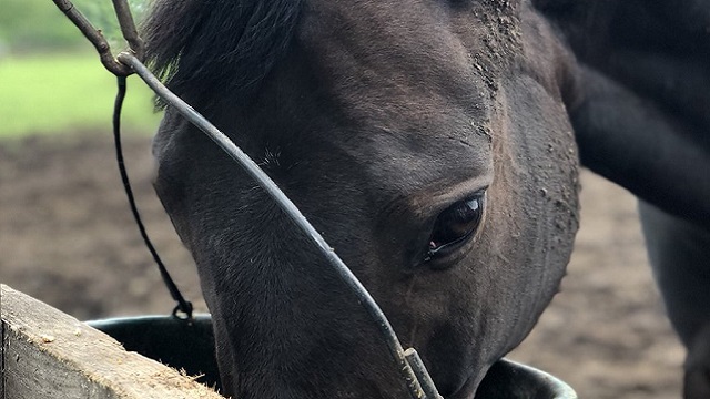 【今日のシュシュブリーズ】6月12日