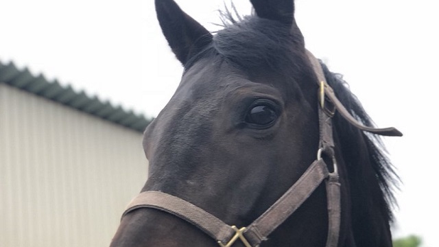 【今日のシュシュブリーズ】6月19日