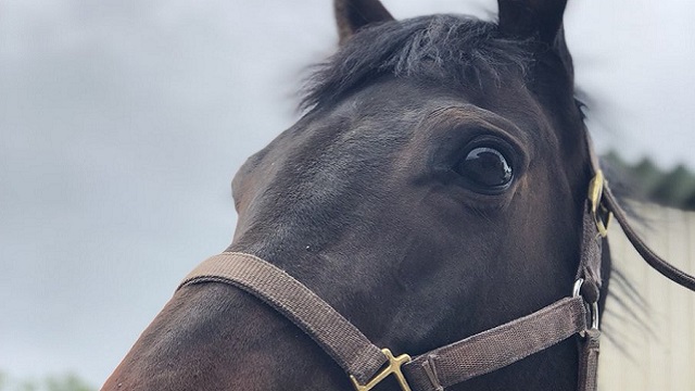 【今日のシュシュブリーズ】6月20日