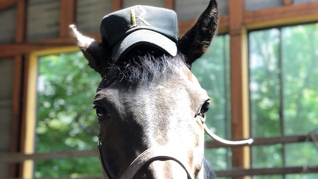 【今日のシュシュブリーズ】6月26日